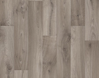 [700111305_19] Strong Plus - Willow Oak 969M